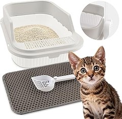 Alternativas efectivas a los areneros abiertos para gatos