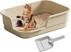 Ventajas de Usar un Arenero Bajo para Gatitos