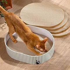 ¿Por qué un rascador es esencial para la salud de tu gato?