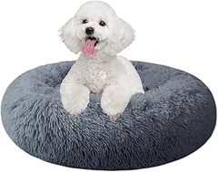 Descubre las Mejores Camas Elevadas para Perros Grandes en Pisos Pequeños