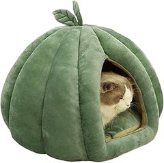 Camas tipo cueva para gatos: adecuadas para jóvenes y ancianos