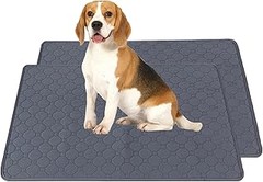 Guía para limpiar y cuidar empapadores reutilizables para mascotas