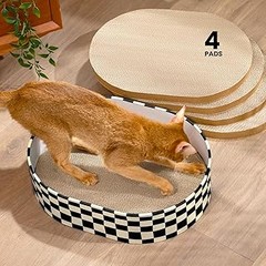 Guía para Utilizar Rascadores de Cartón para Gatos en el Hogar