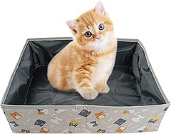 Areneros Plegables vs. Tradicionales: ¿Cuál es el mejor para tu gato?