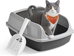 Comparativa de las Mejores Bandejas Higiénicas Bajas para Gatos