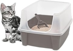 Mejores lugares para comprar areneros esquineros para gatos