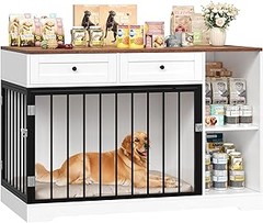 ** Problemas Frecuentes con las Jaulas Decorativas para Perros y Cómo Solucionarlos