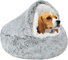 Cómo elegir la cama adecuada para tu perro mediano
