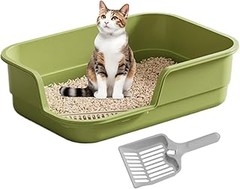 Dónde comprar un arenero bajo para gatos: opciones y promociones