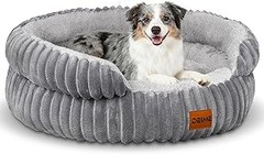 Cómo adaptar el espacio para la cama de tu perro grande en pisos pequeños