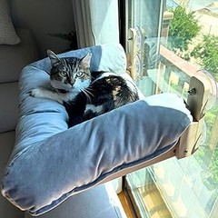 Dificultades al usar camas colgantes de ventana para gatos: Soluciones prácticas