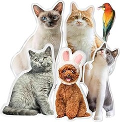 Errores frecuentes al usar fundas para cojines y almohadas con mascotas