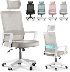 Las sillas de escritorio ergonómicas reclinables: características y beneficios