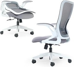 Comparativa entre Sillas Ergonómicas Compactas y Sillas Tradicionales