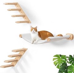 Descubre los diferentes tipos de camas para gatos en muebles y estanterías