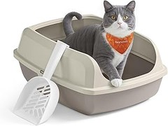 Beneficios de Usar un Arenero Grande para Gatos en Casa