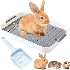 Pros y contras de los areneros esquineros para gatos en pisos pequeños