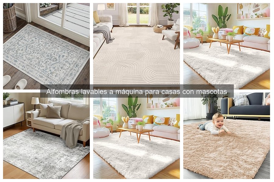 Alternativas a alfombras lavables para casas con mascotas