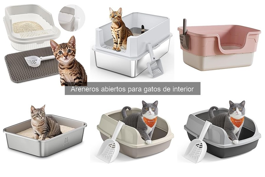 Alternativas a areneros abiertos para gatos en interiores
