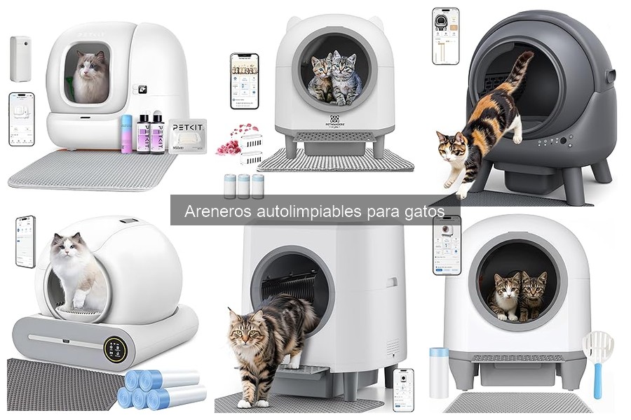 Alternativas a areneros autolimpiables para gatos