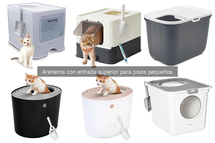 Alternativas a areneros con entrada superior para gatos