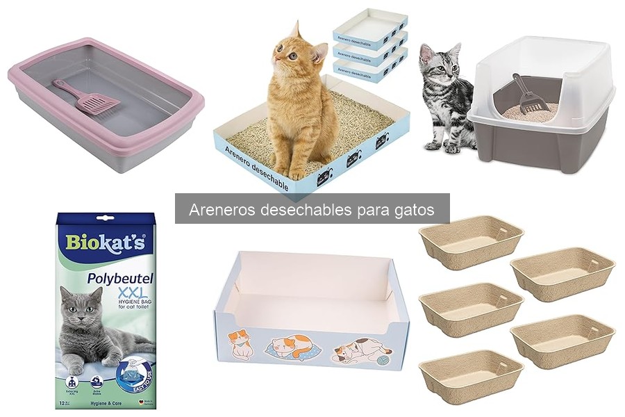 Alternativas a areneros desechables para gatos en casa