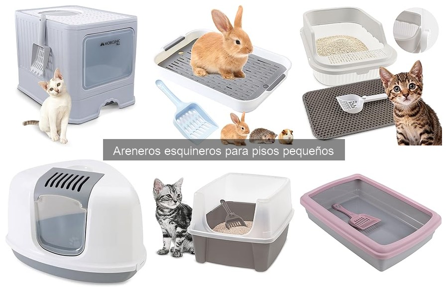 Alternativas a areneros esquineros para gatos en pisos pequeños