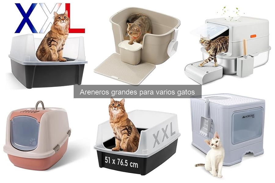 Alternativas a areneros grandes para varios gatos
