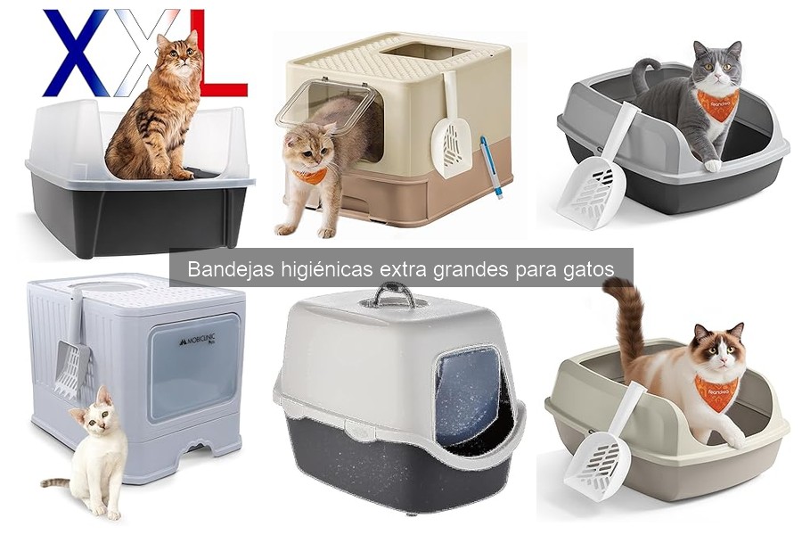 ** Alternativas a bandejas higiénicas grandes para gatos