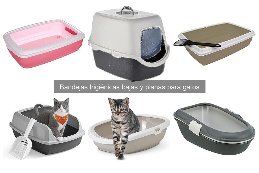 Alternativas a bandejas higiénicas planas para gatos