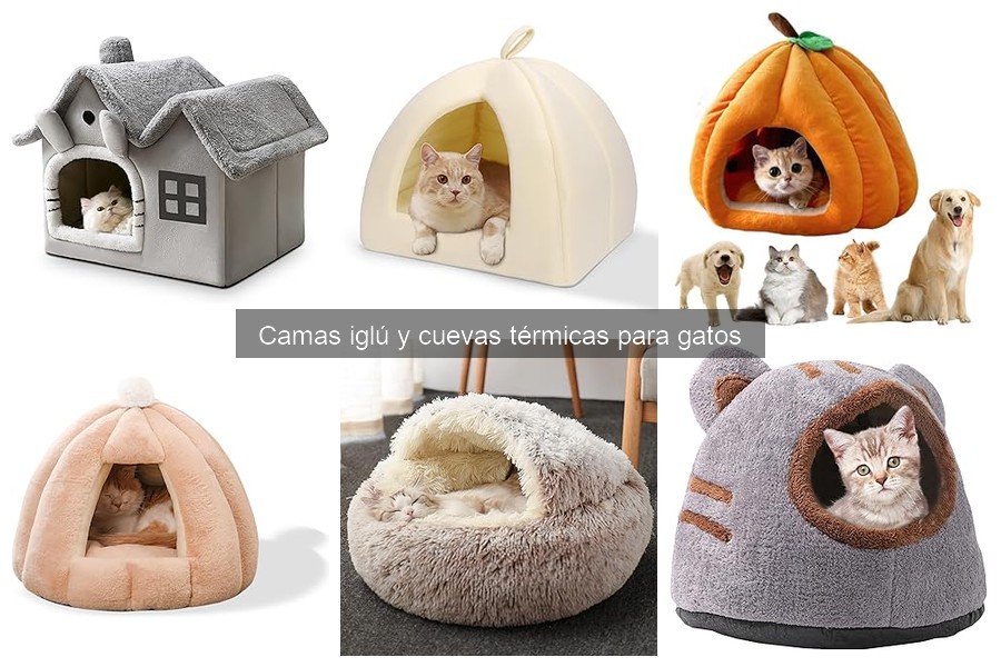 Alternativas a camas iglú para gatos en climas fríos