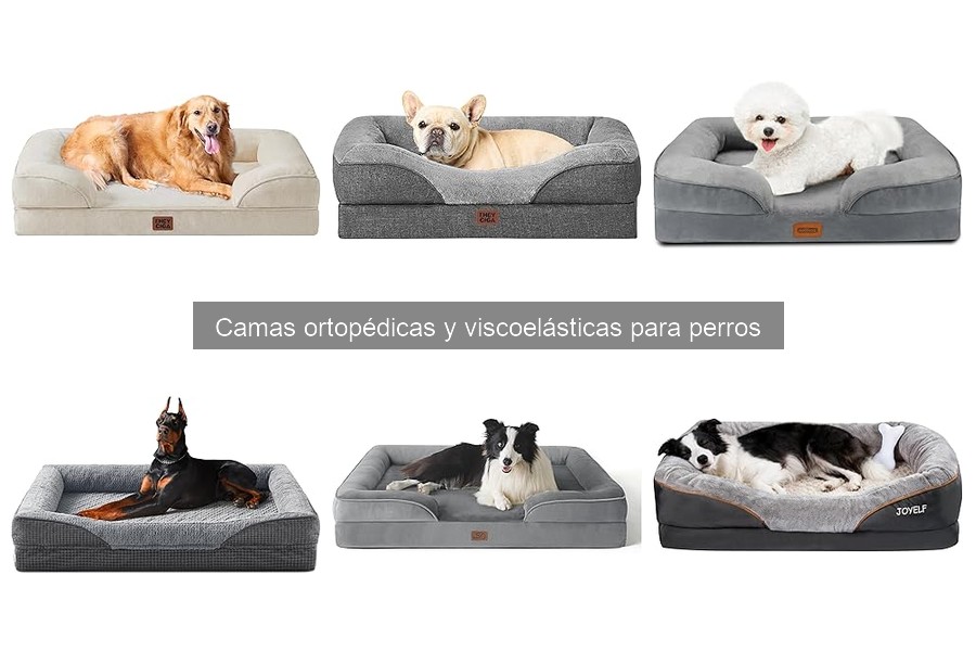 Alternativas a camas ortopédicas para perros: opciones prácticas