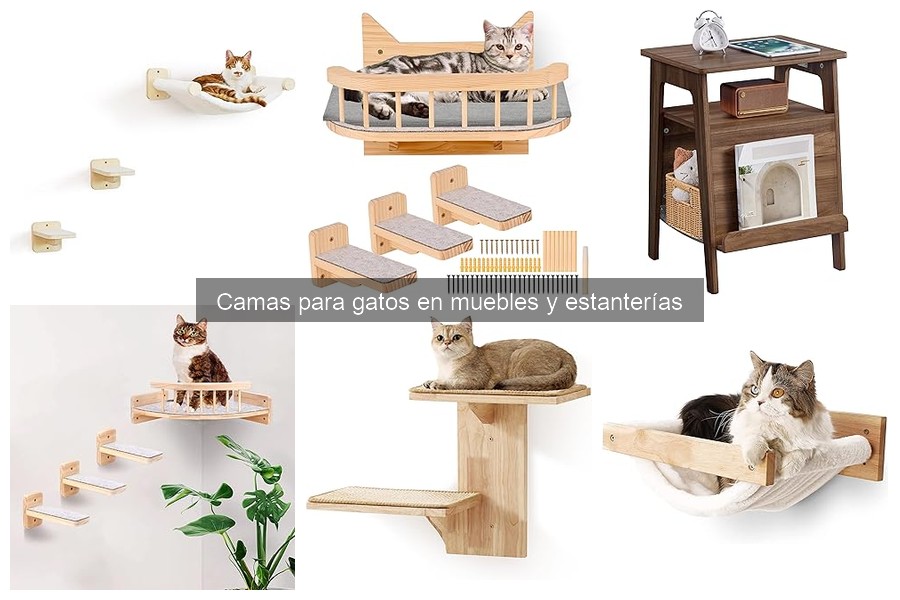 Alternativas a camas para gatos en muebles y estanterías