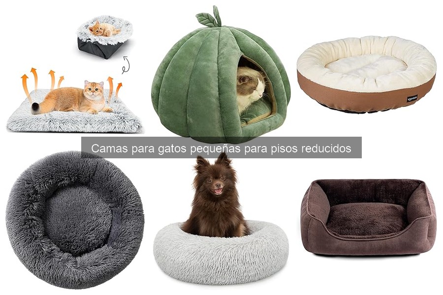 Alternativas a camas para gatos en pisos pequeños