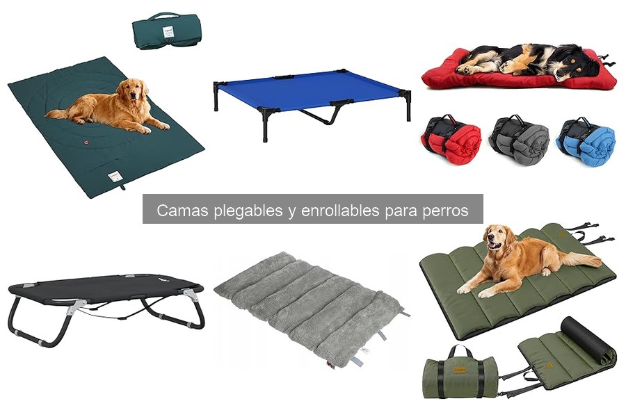 Alternativas a camas plegables para perros en espacios pequeños