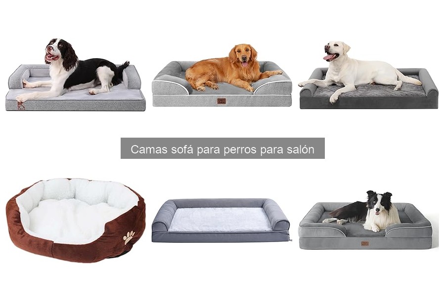 Alternativas a camas sofá para perros en espacios reducidos