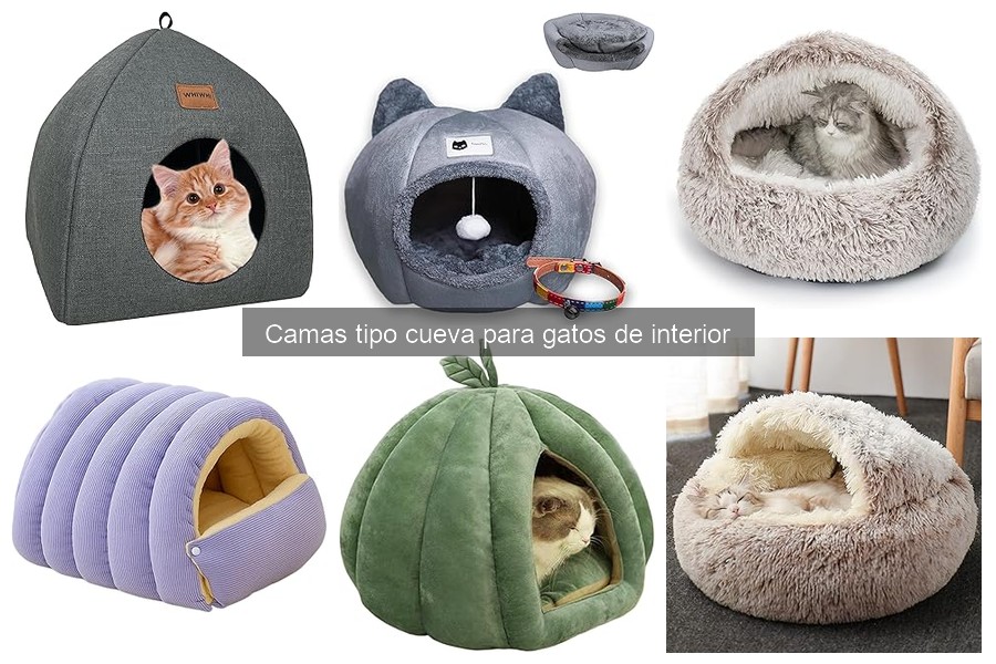 Alternativas a camas tipo cueva para gatos en interiores