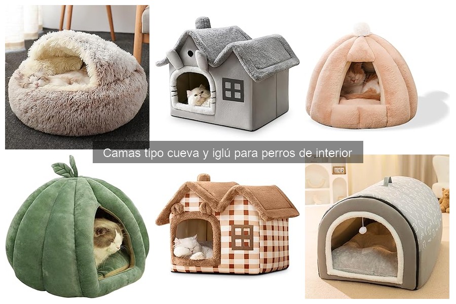 Alternativas a camas tipo cueva para perros: opciones prácticas