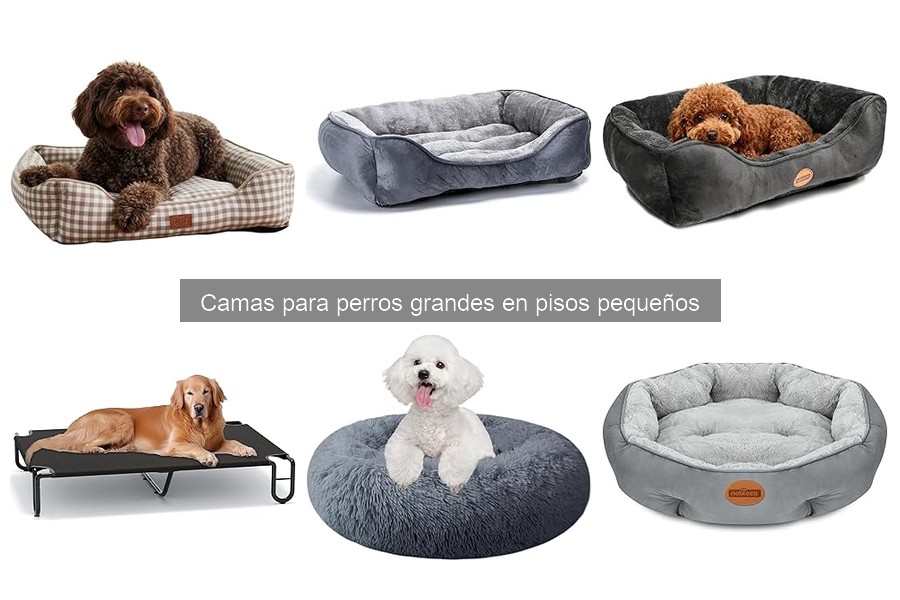 Alternativas a camas tradicionales para perros grandes