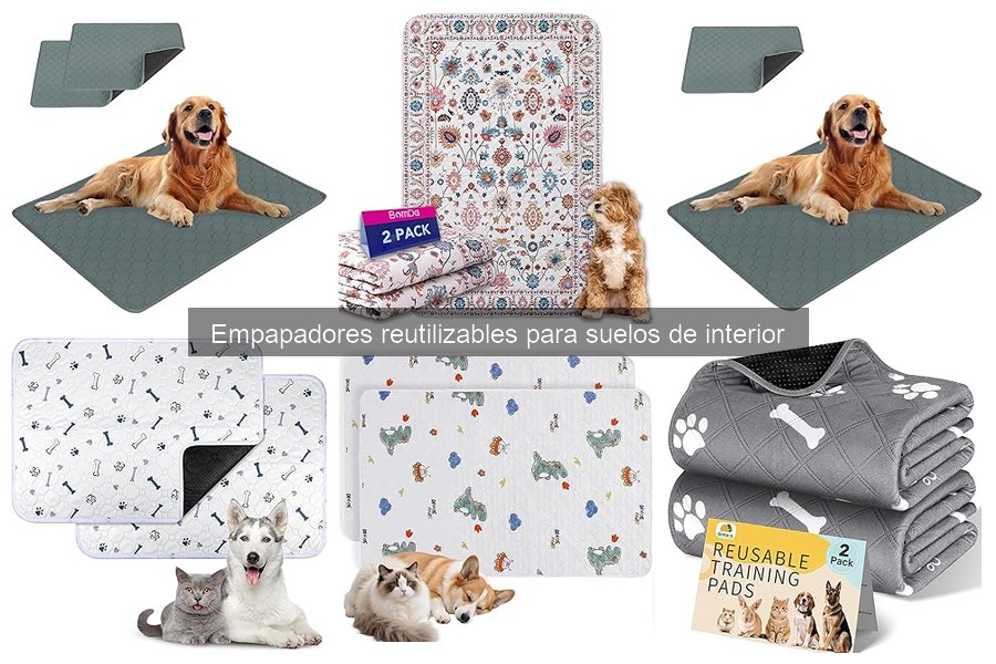Alternativas a Empapadores Reutilizables para Mascotas