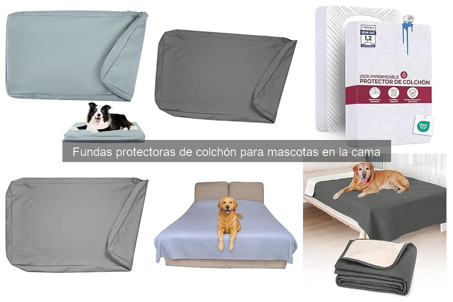 Alternativas a fundas protectoras de colchón para mascotas