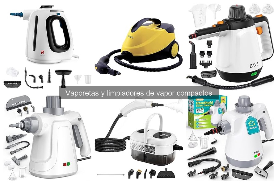 Alternativas a Vaporetas para Limpiar Hogares con Mascotas