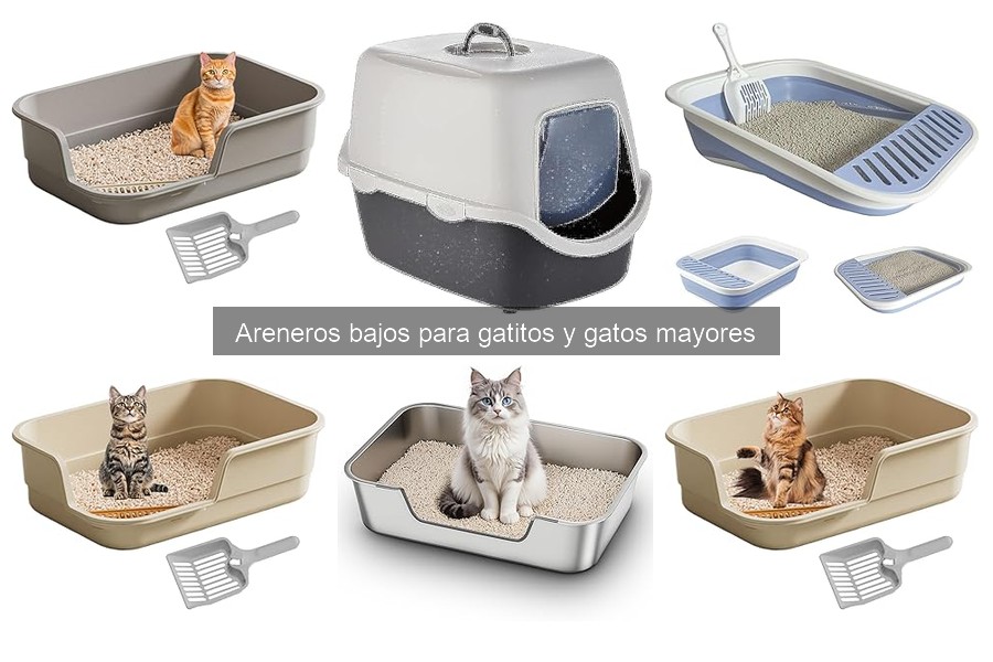 Alternativas al Arenero Bajo para Gatos Mayores
