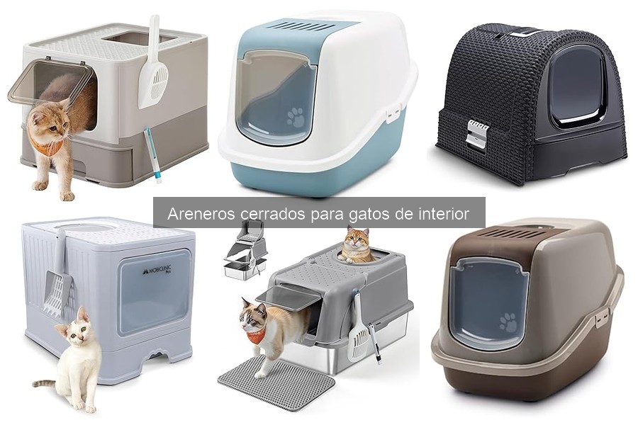 Alternativas al Arenero Cerrado para Gatos en Casa