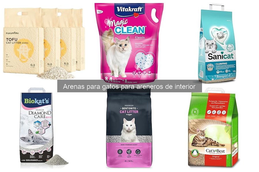 Alternativas Ecológicas a la Arena para Gatos Convencional