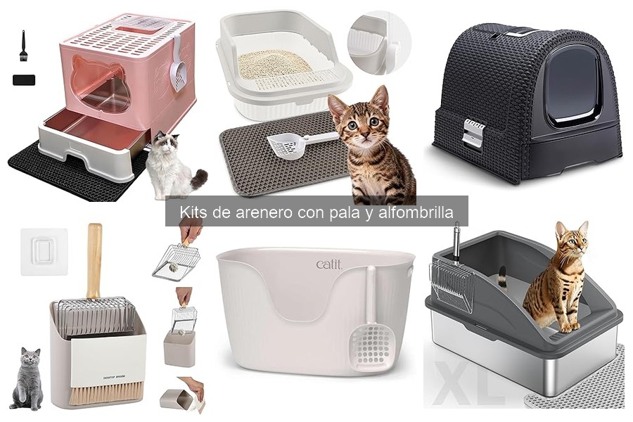 Alternativas económicas a kits de arenero con pala y alfombrilla