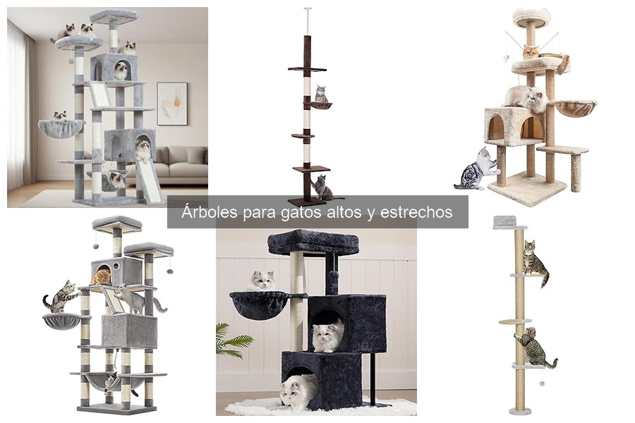 Árboles para gatos altos y estrechos: ¿Qué son y beneficios?
