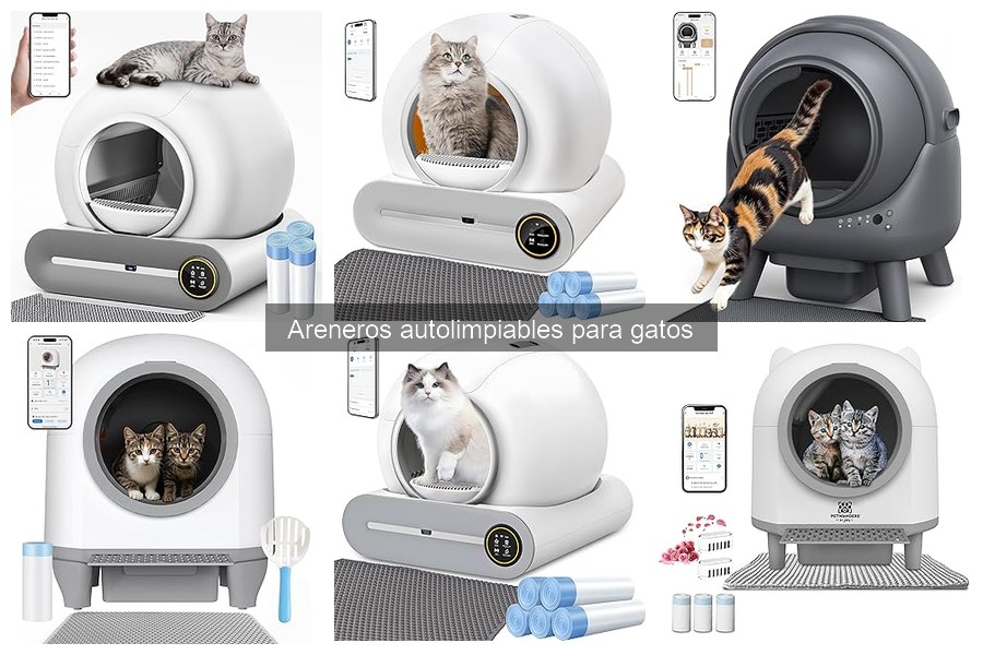 Areneros Autolimpiables para Gatos: ¿Qué son y cómo funcionan?