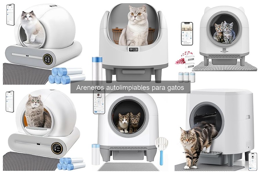 Areneros Autolimpiables: ¿Son Adecuados para Todos los Gatos?