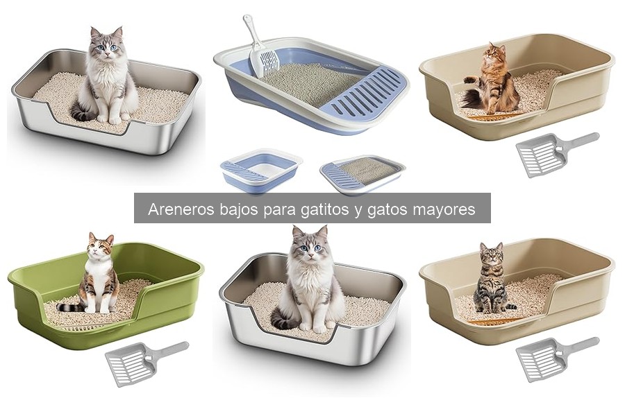 Areneros bajos para gatos: beneficios y características